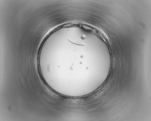 X0000115250895200911271902