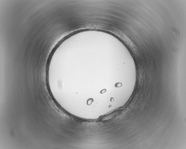 X0000115250896200911271902