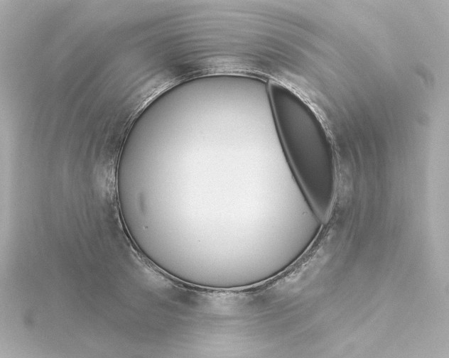 X0000115250897200911271902