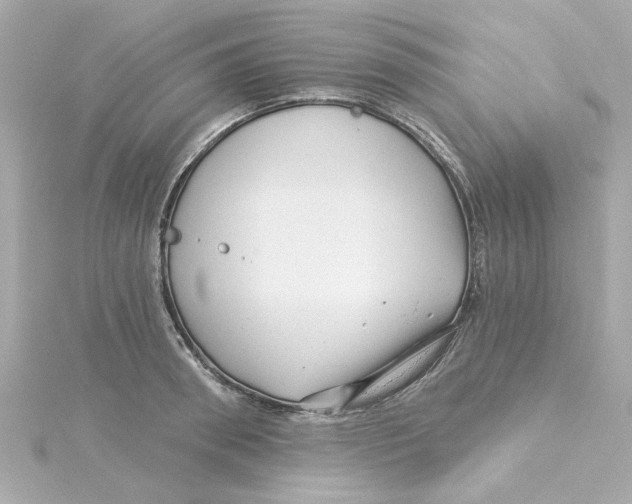 X0000115250898200911271902