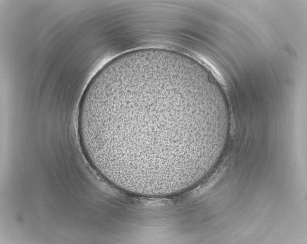 X0000115250899200911271902