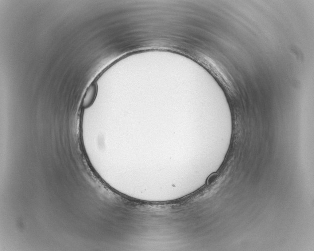 X0000115250900200911271902