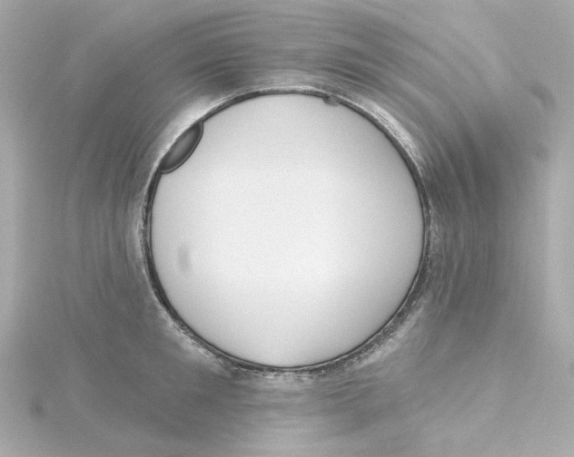 X0000115250901200911271902