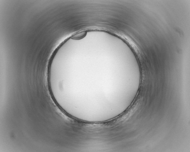 X0000115250902200911271902