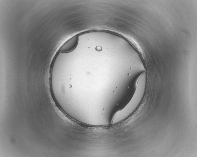 X0000115250903200911271902