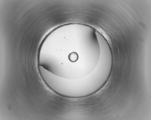 X0000115250904200911271902