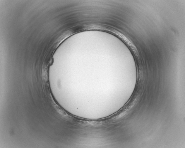 X0000115250905200911271902