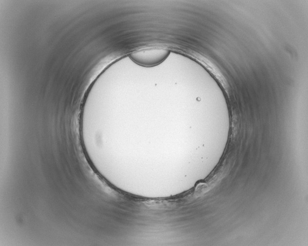 X0000115250906200911271902