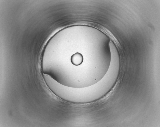 X0000115250908200911271902