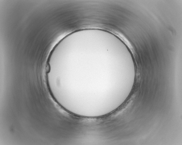 X0000115250909200911271902