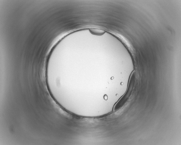 X0000115250910200911271902