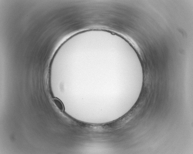 X0000115250911200911271902