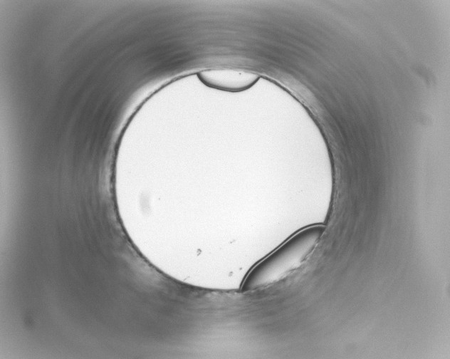 X0000115250912200911271902