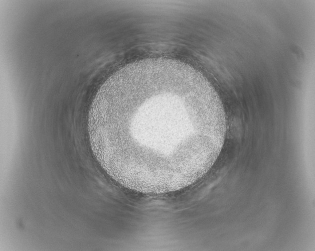 X0000115250913200911271901