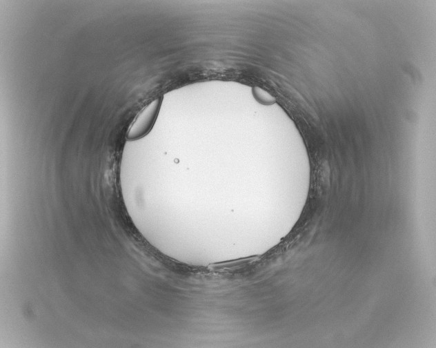 X0000115250914200911271901