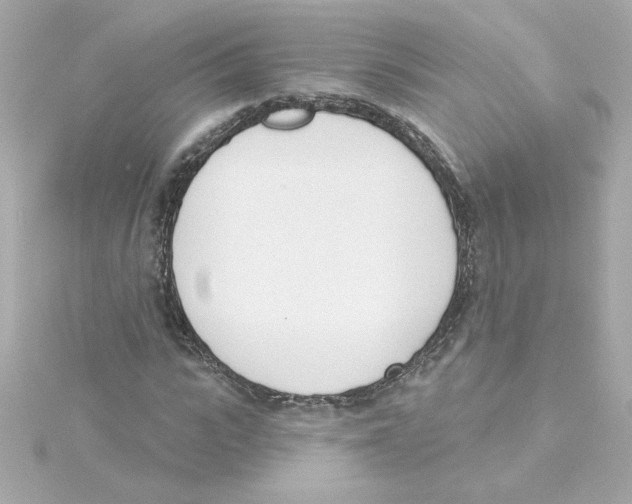 X0000115250919200911271901