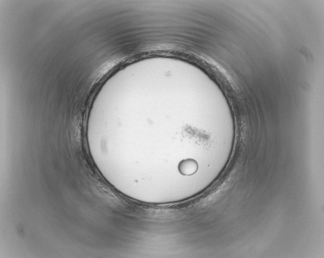 X0000115250921200911271901