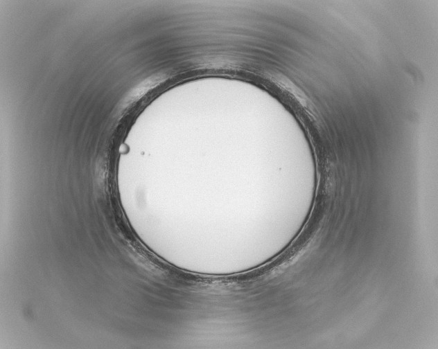 X0000115250922200911271901