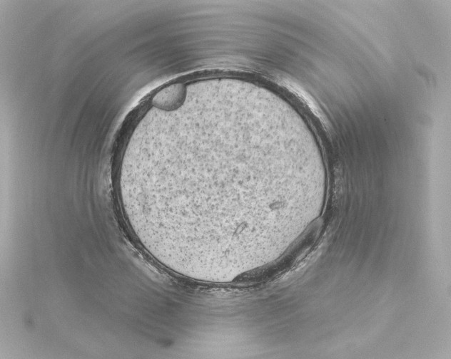 X0000115250923200911271901