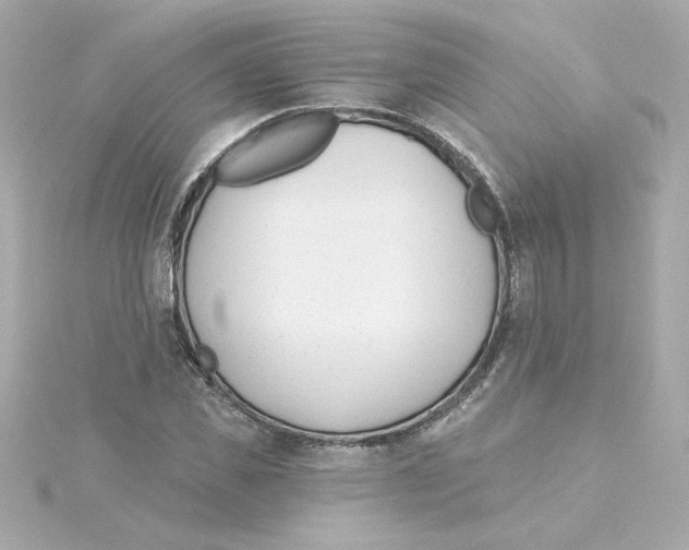 X0000115250925200911271901