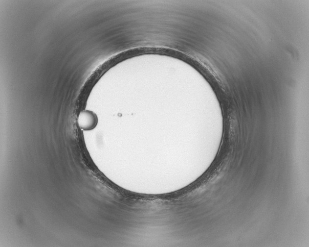 X0000115250926200911271901