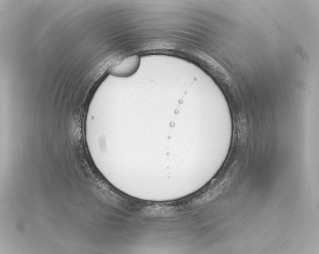 X0000115250929200911271901