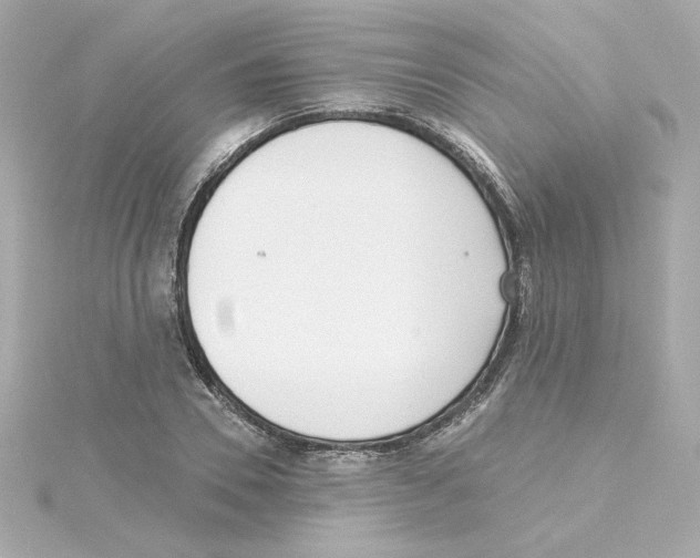 X0000115250930200911271901