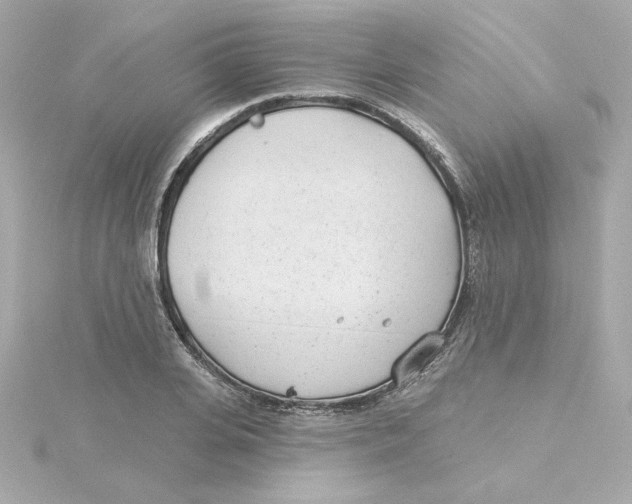 X0000115250935200911271901