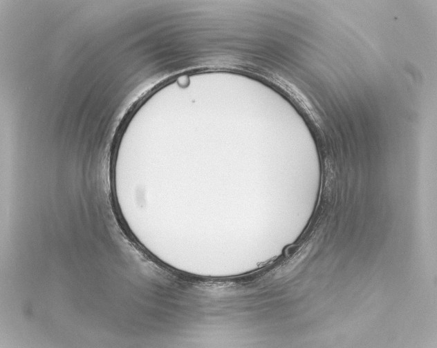 X0000115250939200911271901