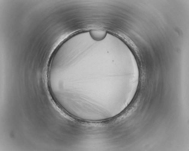 X0000115250941200911271901