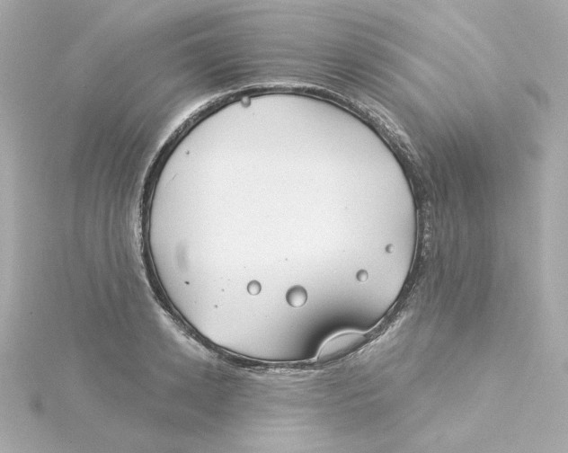 X0000115250942200911271901