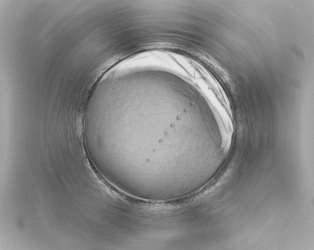 X0000115250945200911271901