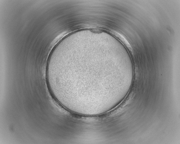 X0000115250946200911271901