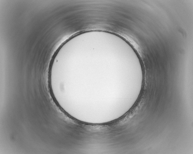 X0000115250949200911271901