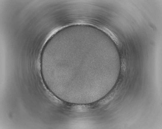 X0000115250950200911271901