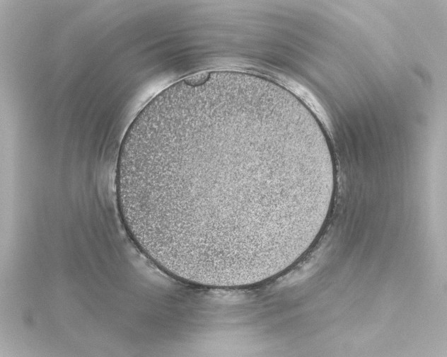 X0000115250954200911271902