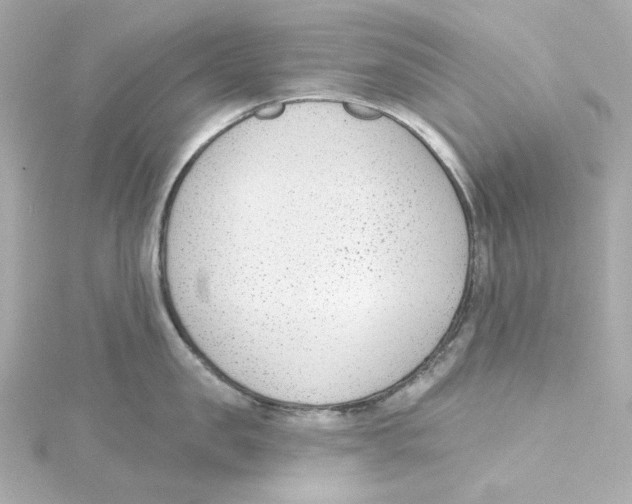 X0000115250957200911271902