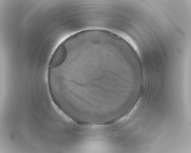 X0000115250958200911271902