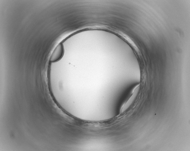 X0000115250959200911271902