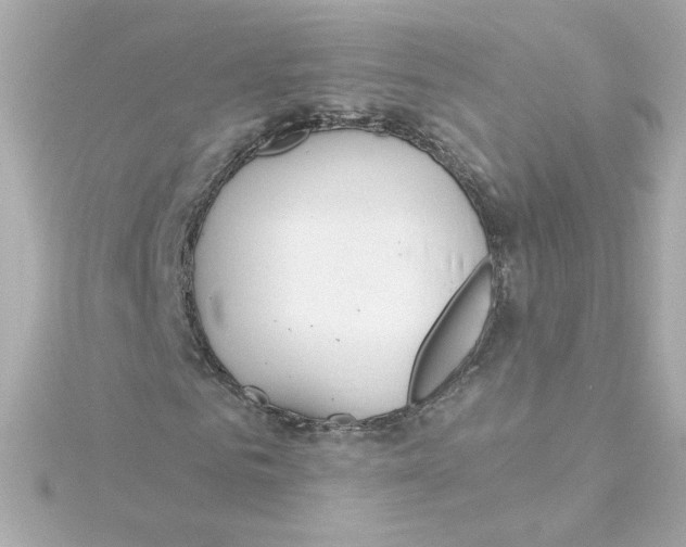 X0000115250961200911271901