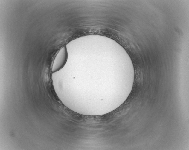 X0000115250962200911271901