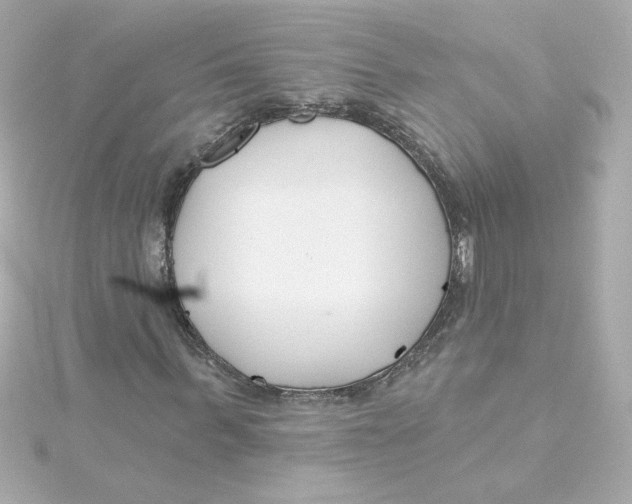 X0000115250963200911271901