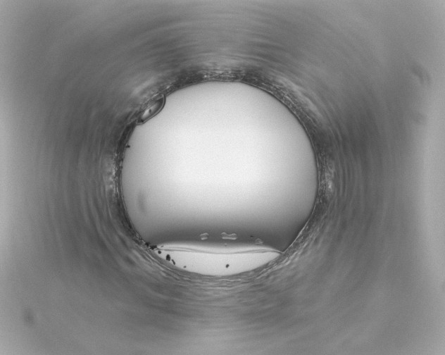 X0000115250964200911271901