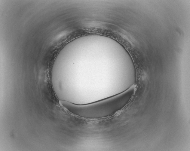 X0000115250965200911271901