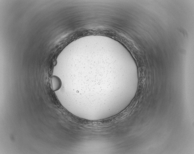 X0000115250966200911271901