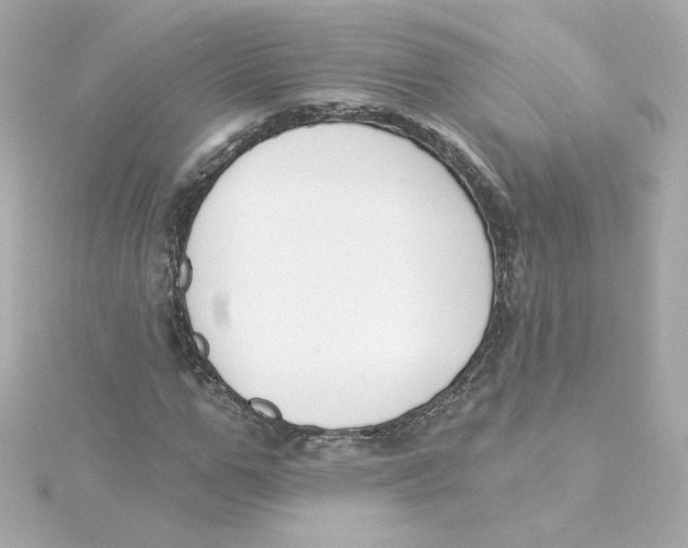 X0000115250967200911271901