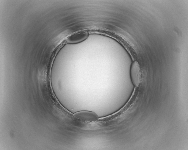 X0000115250969200911271901