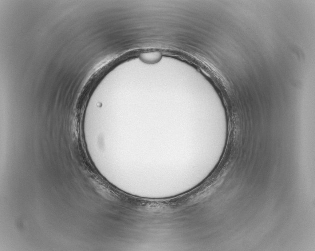 X0000115250974200911271901