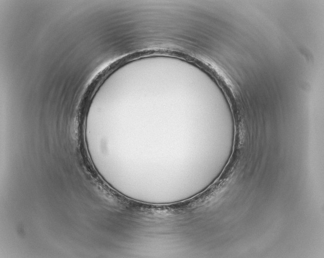 X0000115250975200911271901