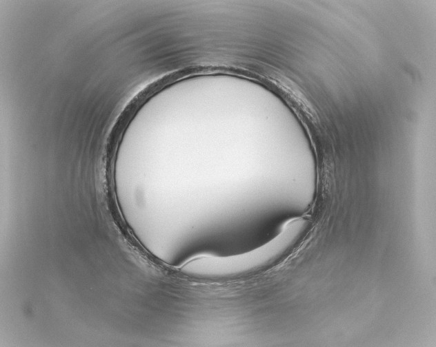 X0000115250976200911271901